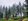 Dahilayan Residential Farm in Mountain Pines Farm, Manolo Fortich, Bukidnon