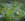 A Luxury 317 Sqm Residential Lot in Batangas city - Ananda at Pieavana