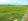 7,194sqM  farm land  in Ubay, Bohol