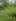 3.37 hectares Raw Land For Sale in El Nido Bacuit Palawan