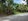 Agricultural land with fruit bearing trees