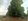 Lot for sale 25,810sqm with 6,000 plus mahogany tree ready to harvest with DENR Cert.