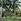 100sqm Residential Farm Lot For Sale in Dingalan Aurora for only 280,000