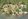 Beach Lot with 3248 SQM size, 3 sides no neighbor, just the mangroves and the sands.