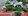 Mactan Island Cebu Beach Lot 2000sqm White Sands Beachfront Titled Maribago