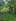 Residential Farm lot For Sale In Bailen