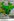 110 has, Brgy. Bulusukan, San Ildefonso, Bulacan. Frontage is 300 meters along municipal road.