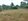 1200sqm Farm lot for Sale in Tanauan, Batangas