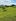 2 hectares Farm Lot For Sale in Cuyapo Nueva Ecija