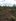 2,280 SQM Vacant Lot for Sale in Panglao, Dauis Bohol