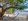 beach resort property for sale!