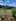 Prime 2,436 SQM Vacant Lot for Sale in Tolentino East Tagaytay | End Lot Investment Opportunity