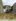LOT FOR SALE IN MADAUE!