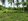 4.8 hectares Farm Lot For Sale in Taysan Batangas