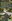 300sqm Amadeo Lot for sale near Tagaytay