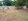 FOR SALE: Residential Lot in Mambago-A, Samal Island 205 sqm ( 4,850 per sqm )