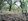 1,930 sqm Residential Farm For Sale in Sariaya Quezon