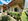 Message me cantilalawlaw@gmail.com: Brand New House and Lot for Sale in Villa Conchita, Davao City
