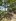 CHEAPEST 466sqm Antipolo Subdivision Lot | CGT Owner Covered | Clean Title