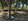 846 sqm Farm Lot For Sale in Tanay Rizal