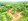 fruit bearing residential farm in Bilog alfonso 100% tagaytay climate