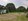 6.5 Hectare Flat Land with Piggery Facilities in Lipa, Batangas