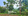 5,000 sqm TAGAYTAY FARM LOT FOR SALE  PREMIUM LOCATION in ALFONSO, CAVITE
