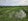 14 hectares Irrigated Rice Farm Lot For Sale in Pilar Bohol