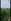 Agricultural Land for Lease in Rosario, Batangas