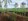 4 hectares Farm Lot For Sale
