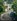 439 sqm Residential Lot For Sale in Las Pinas