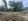 Tangnan Lot For Sale in Panglao Bohol