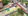 Residential Subdivided Lots