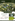 Caleia Vermosa 250sqm Residential Lot | Prime Location Near Central Park
