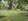 5.2-hectare Farm lot For Sale in  Quezon right beside the beautiful Hagdan-Hagdan Falls