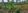 Agricultural Farm Lot in Silang Cavite