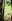 Clean Titled Land for Sale Near Ongoing Road Construction in Libona, Bukidnon