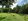 200sqm Residential Farm Lot in Supang, Buenavista Guimaras