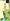 Beverly Place Fairway Lot 903 sqm with Golf Share For Sale in Mexico, Pampanga