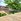 SMDC Trees Residences Condo Unit in Prime Quezon City Location