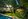 FOR SALE: HOTEL RESORT in General Luna, Siargao Island.
