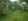 Foreclosed 1.98 hectares Residential Lot For Sale in San Pablo Laguna