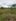 205 sqm Residential Lot For Sale in Westwood Iloilo