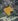 7.01 hectares Commercial Lot For Sale by Ayala Land besides Bellavita Brgy. Pansol Pila Laguna