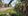 Residential Lot for Sale in Caramutan Villasis, Pangasinan