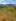 500 sqm to 1 hectare for only 1,500 per square meter