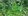 4 hectares Residential Farm For Sale in Santa Cruz Davao Del Sur