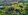 200sqm Accessible Farm Lot in Jordan Guimaras