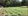 6,217 sqm Beautiful Farmlot For Sale in Lipa Batangas
