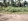 Lot for sale in Kipit, Agro Labason Zamboanga Del Norte. 350sqm lot size, being sold by lot owner.